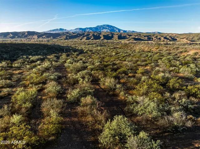 a view of a town with mountains in the background