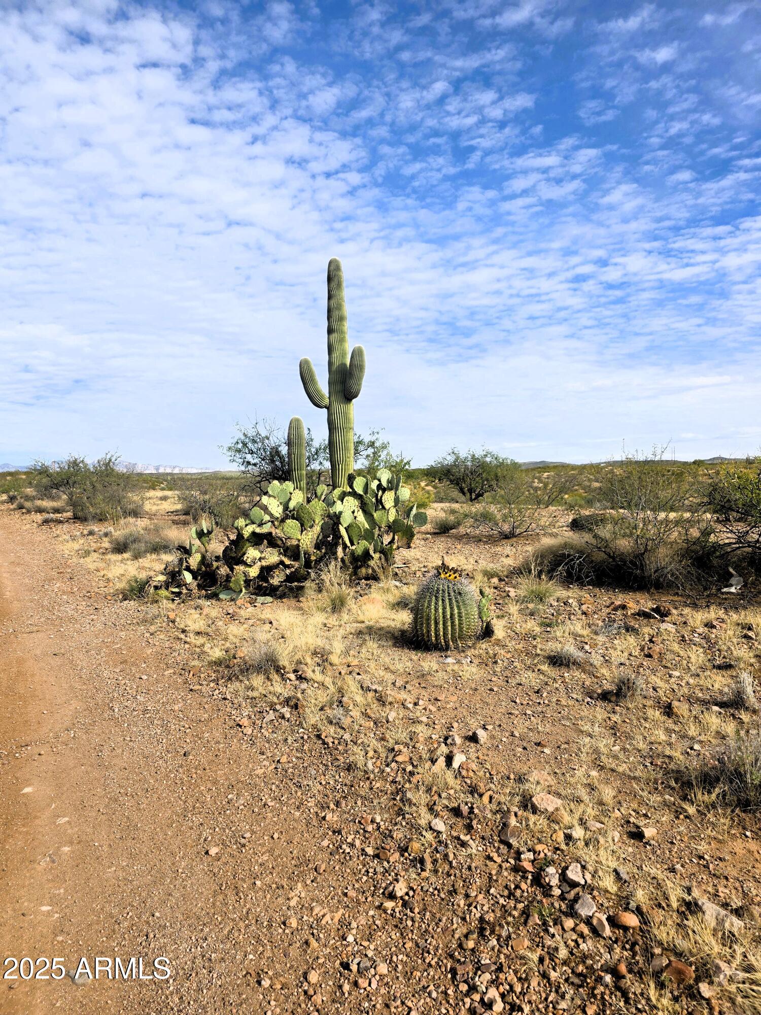 Tbd East Gamez Road, Unit 15 Benson, AZ 85602 - Photo 6 of 33 TBD Gamez RD