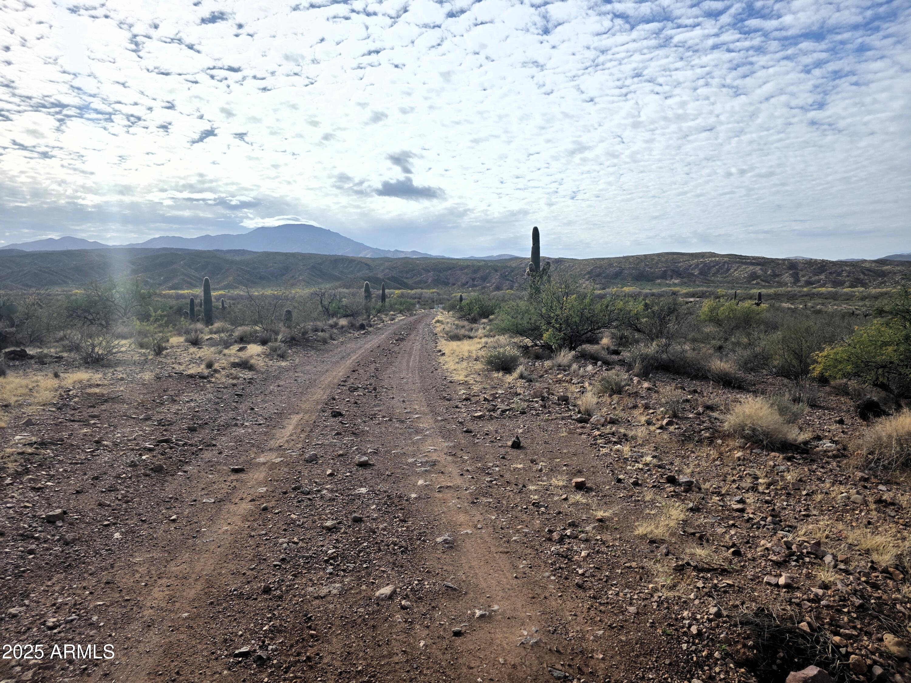 Tbd East Gamez Road, Unit 15 Benson, AZ 85602 - Photo 10 of 33 TBD Gamez RD