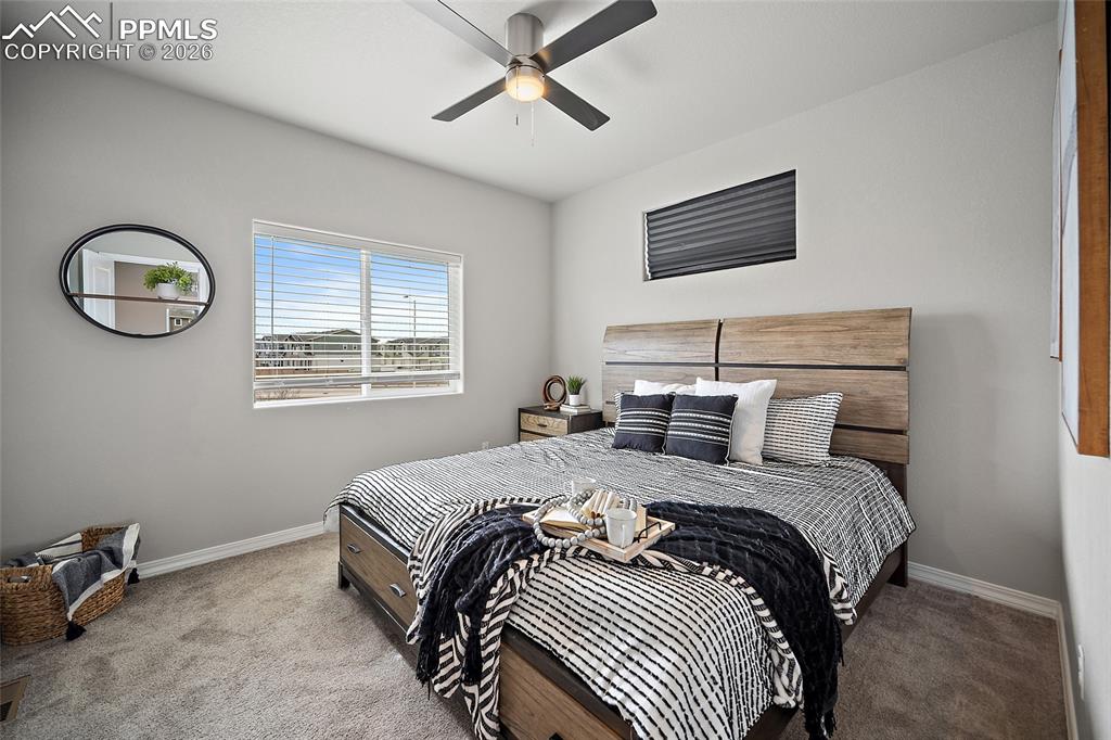 5255 Aeroglide Loop Colorado Springs, CO 80916 - Photo 9 of 23