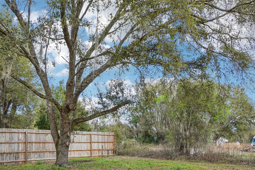 808 Southwest 124th Lane Webster, FL 33597 - Photo 16 of 18 a view of a yard with large trees