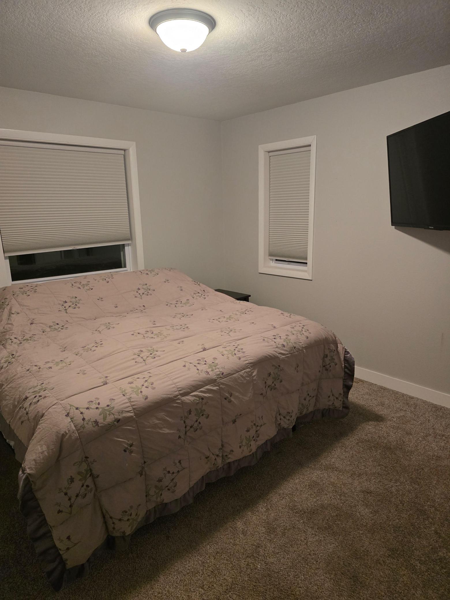 41485 429th Street Perham, MN 56573 - Photo 7 of 14