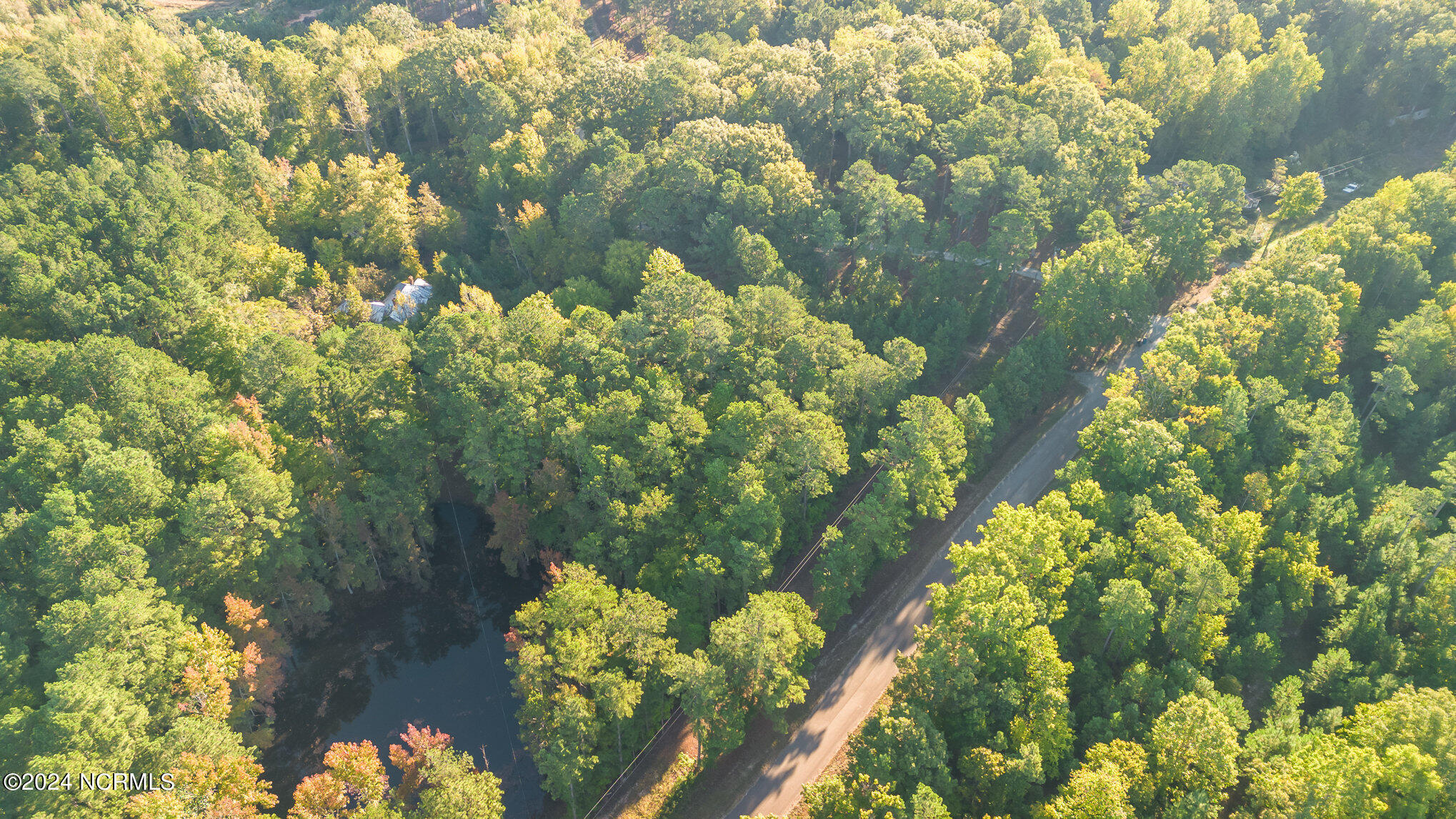 590 Truth Road New Hill, NC 27562 - Photo 3 of 11 002_dji_0004-edit