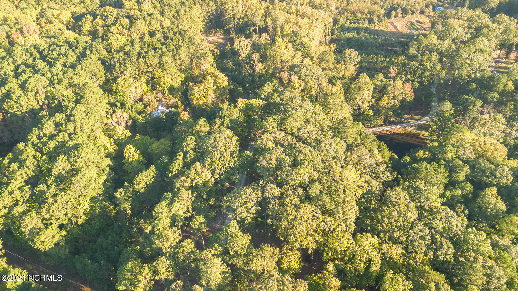 590 Truth Road New Hill, NC 27562 - Photo 5 of 11 008_dji_0020-edit