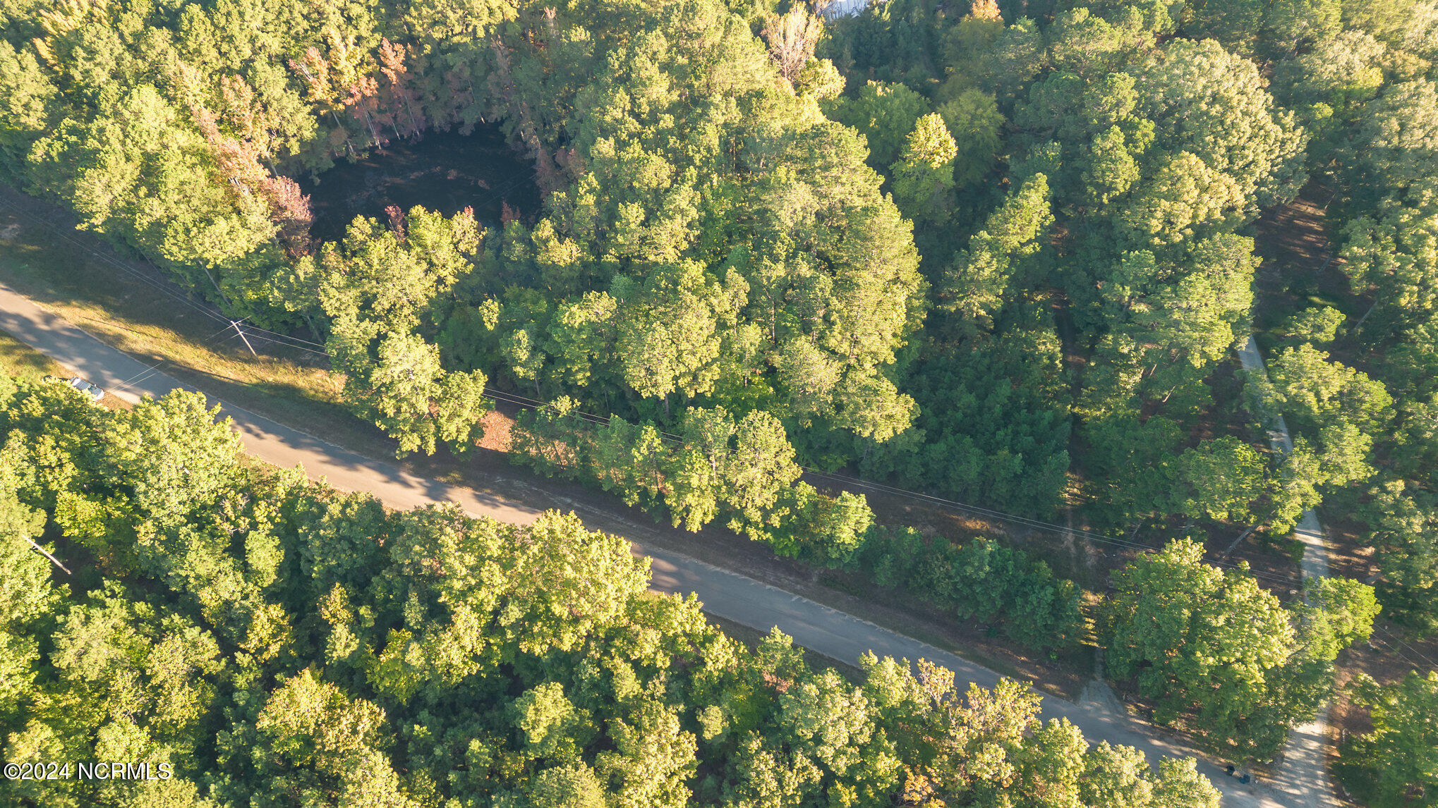 590 Truth Road New Hill, NC 27562 - Photo 6 of 11 009_dji_0025-edit
