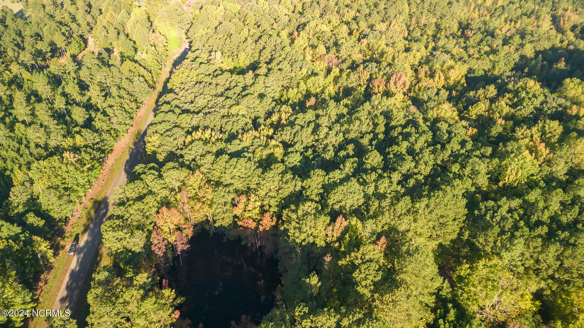 590 Truth Road New Hill, NC 27562 - Photo 8 of 11 013_dji_0036-edit