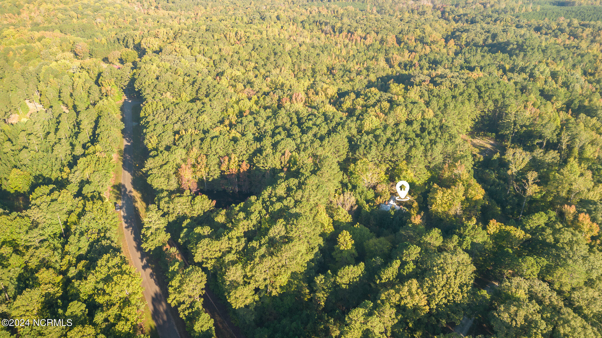 590 Truth Road New Hill, NC 27562 - Photo 10 of 11 016_dji_0018-edit-edit