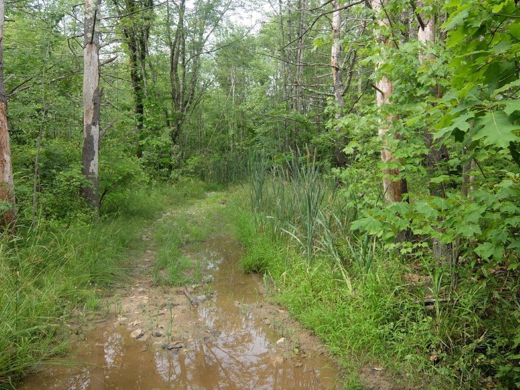 Lot 1 Turnpike Acres Road Gray, ME 04039 - Photo 11 of 15 DSCF8401