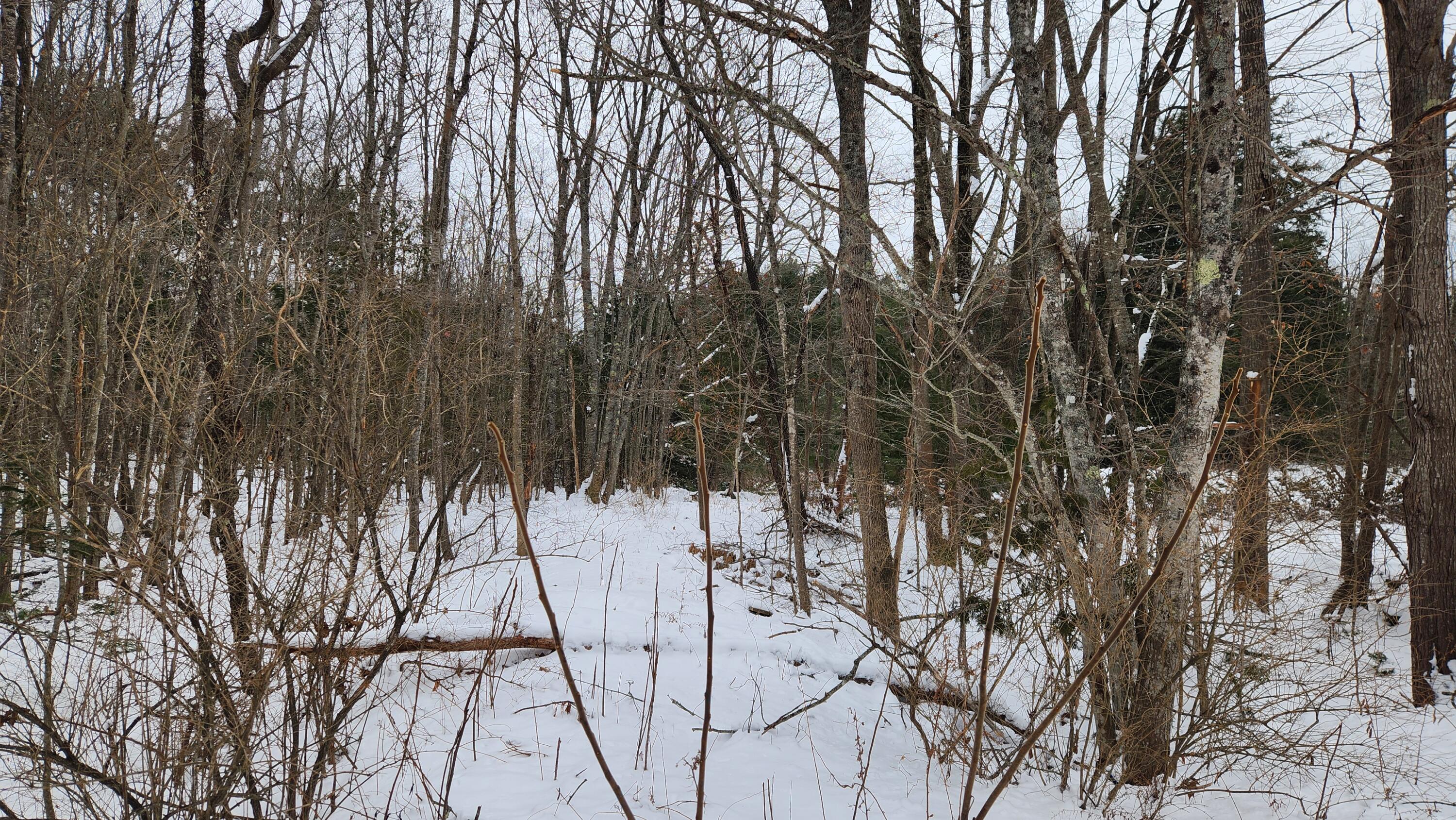 48 Marsh Road Belfast, ME 04915 - Photo 14 of 33 1000009987