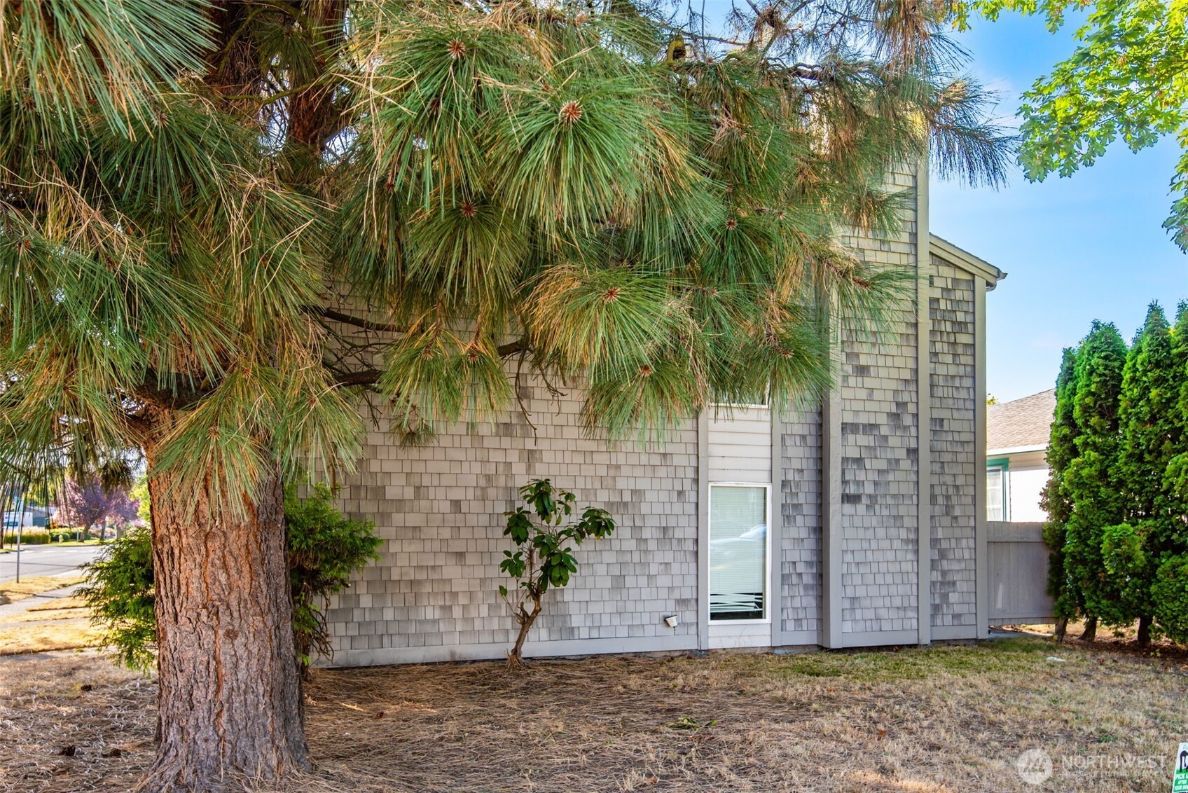 1602 Delaware Street Longview, WA 98632 - Photo 34 of 40 a view of a backyard