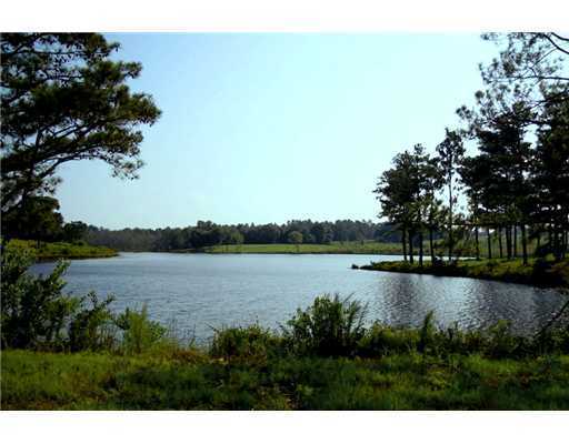 Lot 39 Lot Road Lucedale, MS 39452 - Photo 3 of 11 Additional Photo