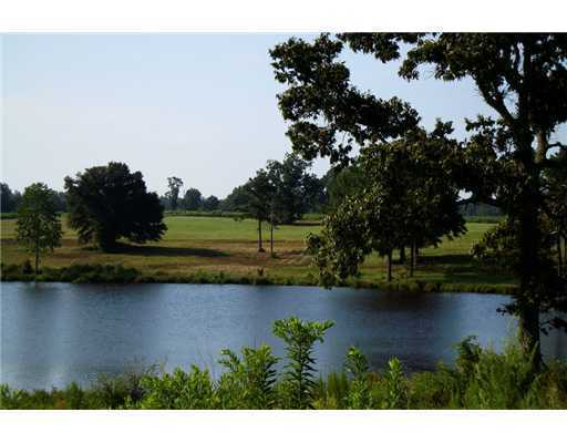 Lot 39 Lot Road Lucedale, MS 39452 - Photo 5 of 11 Additional Photo