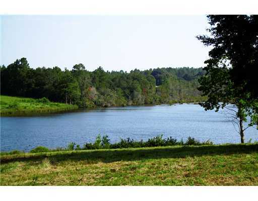 Lot 39 Lot Road Lucedale, MS 39452 - Photo 8 of 11 Additional Photo