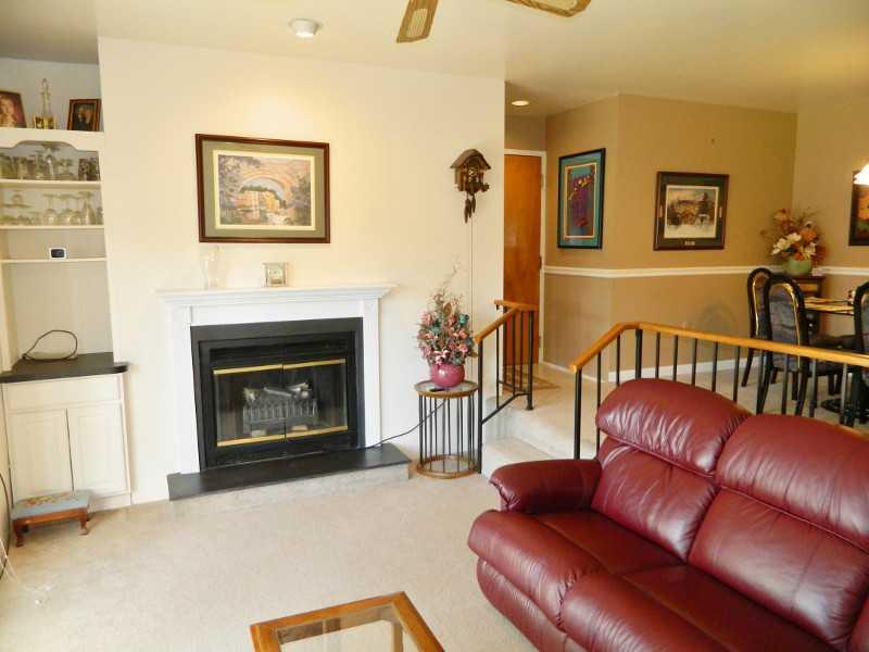 2401 Kenzie Road Pittsburgh, PA 15205 - Photo 14 of 25 Living Room. Features wood burning fireplace.
