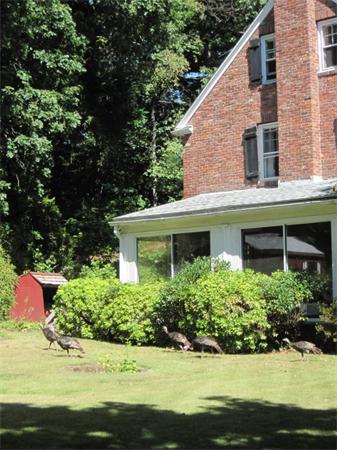 181 Upland Road Newton, MA 02460 - Photo 2 of 4