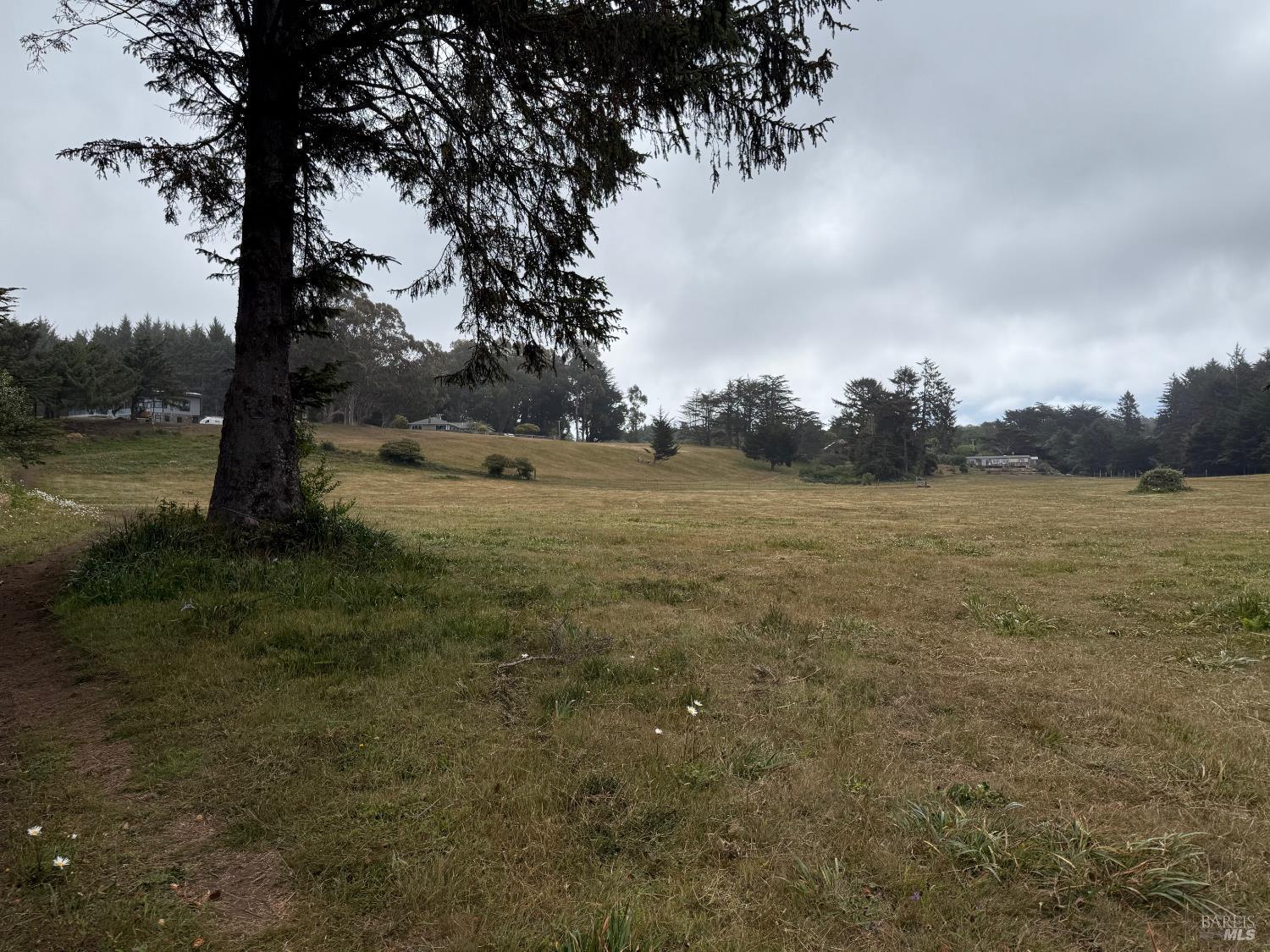 760 Stagecoach Road Trinidad, CA 95570 - Photo 14 of 15 a view of a field with an trees