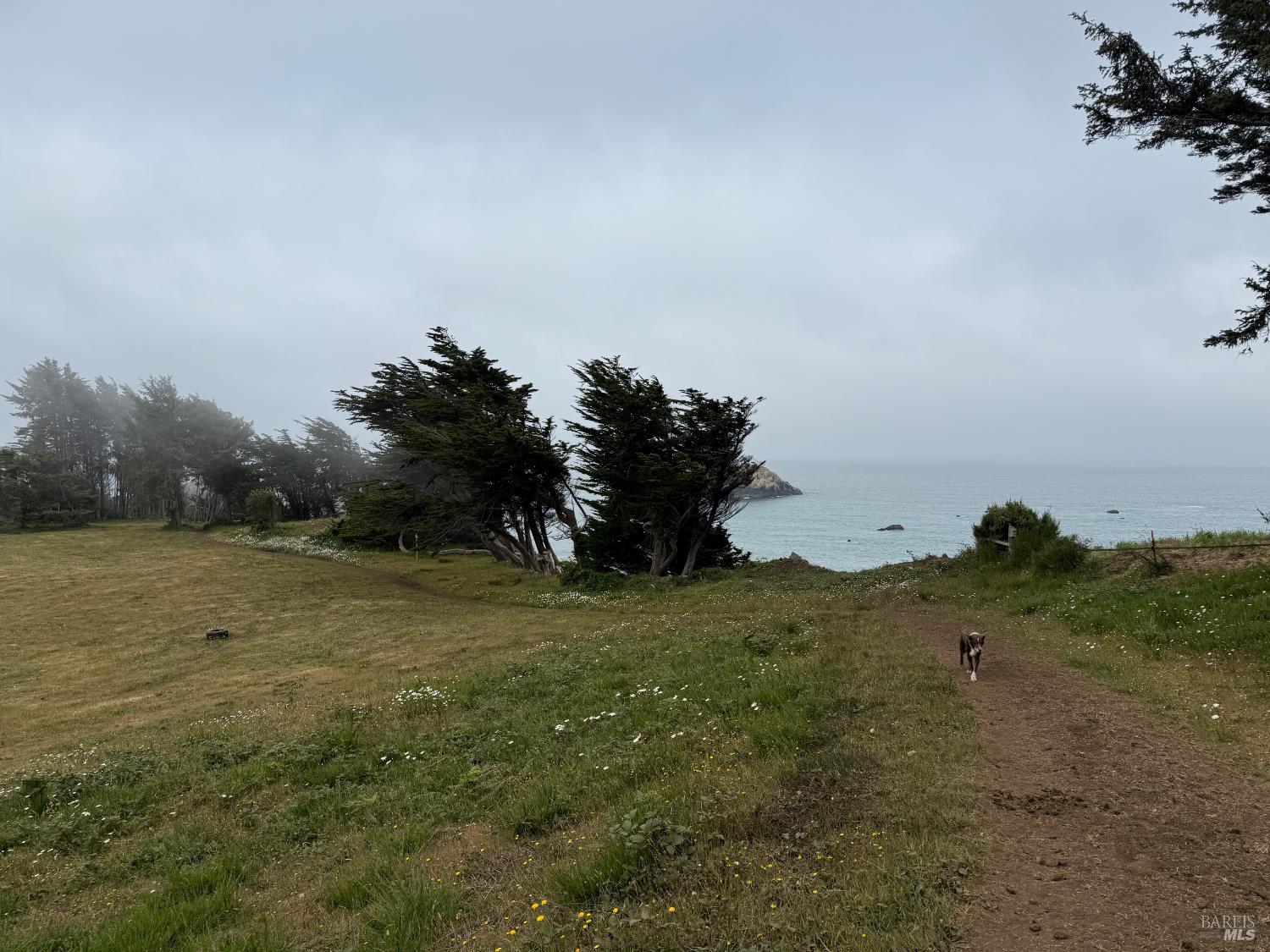 760 Stagecoach Road Trinidad, CA 95570 - Photo 15 of 15 a view of a field with an ocean