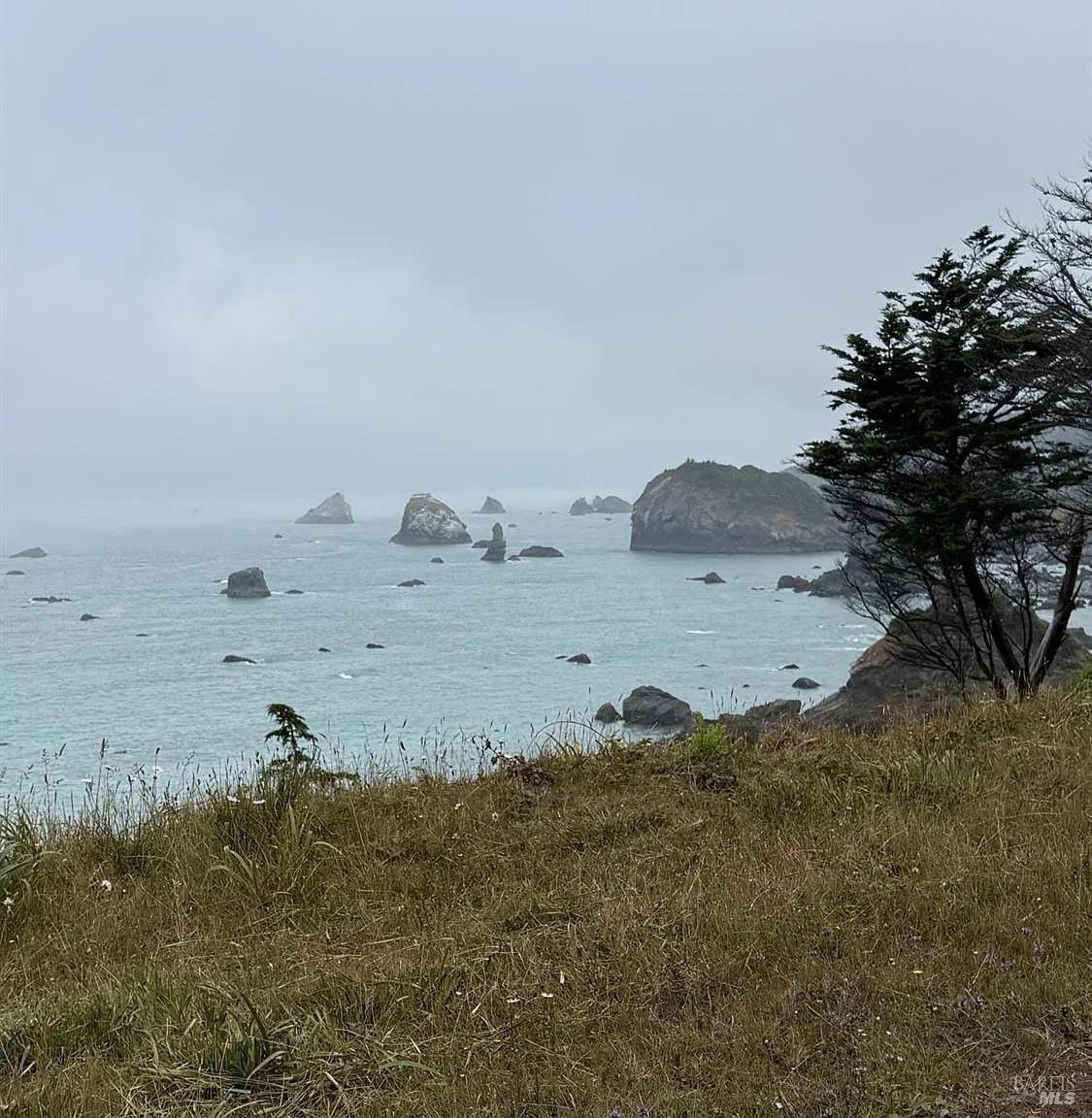 760 Stagecoach Road Trinidad, CA 95570 - Photo 6 of 15 a view of ocean beach and large trees