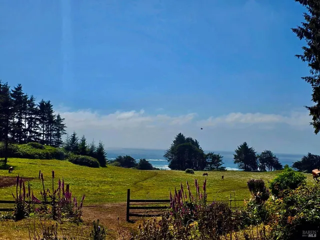 a view of grassy field with benches