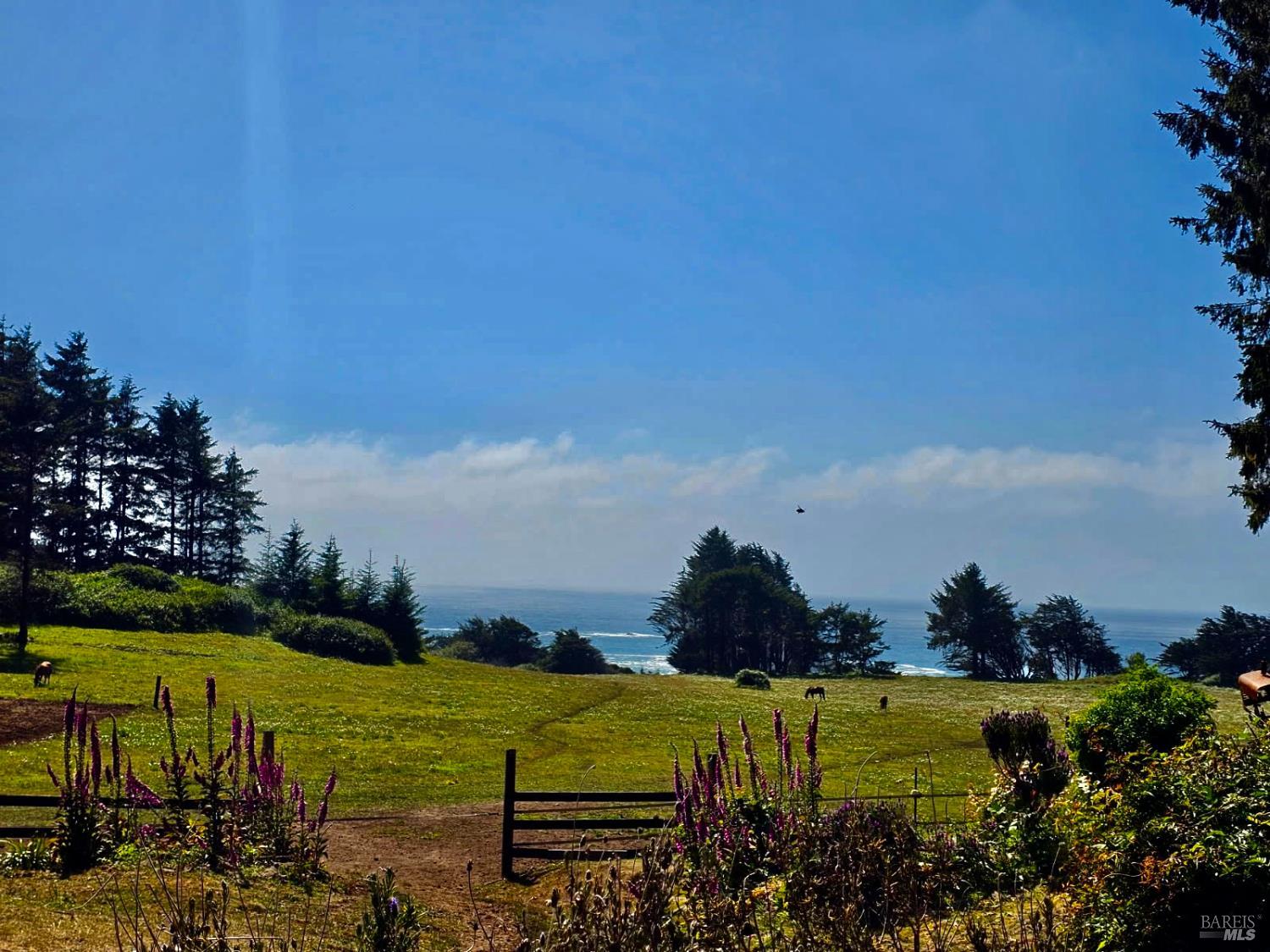760 Stagecoach Road Trinidad, CA 95570 - Photo 7 of 15 a view of a swimming pool with an outdoor seating and trees in the background