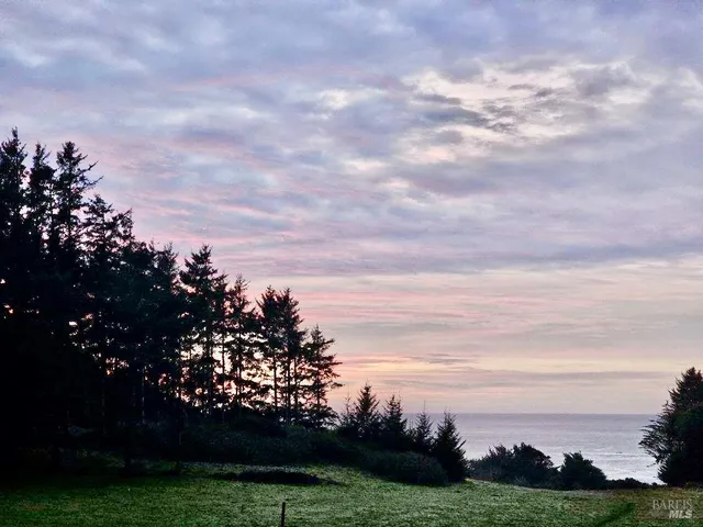 a view of park with large trees