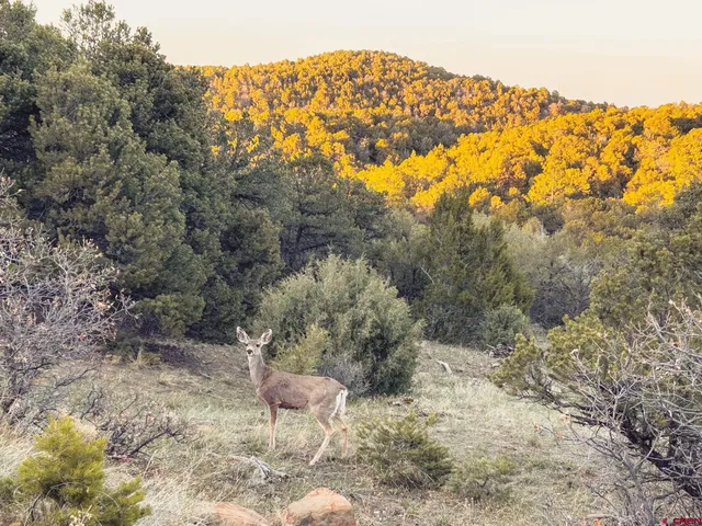 $100,000 | Lot 33 Spanish Peaks Drive, Walsenburg, CO 81089