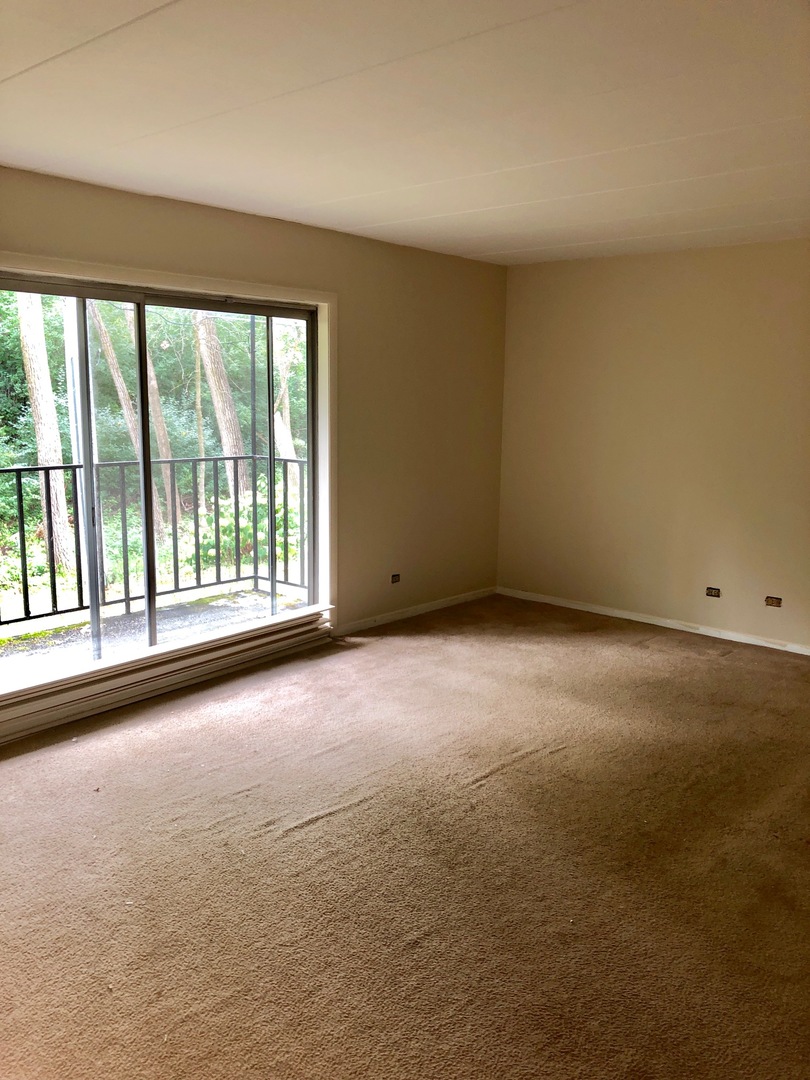 2807 Willow Road, Unit 107 Homewood, IL 60430 - Photo 7 of 10
