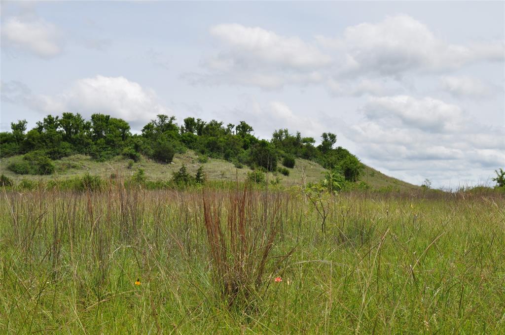 1849 2 Bush Road Perrin, TX 76486 - Photo 30 of 40