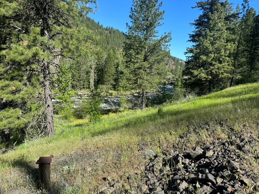 Tbd Elk Lake Road New Meadows, ID 83654 - Photo 7 of 24