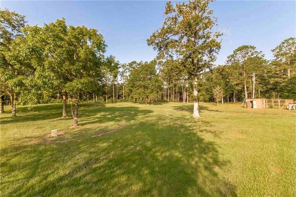 28330 Highway 444 Springfield, LA 70462 - Photo 35 of 40 Gallery Image 35