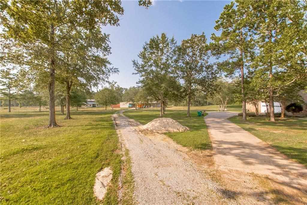 28330 Highway 444 Springfield, LA 70462 - Photo 36 of 40 Gallery Image 36