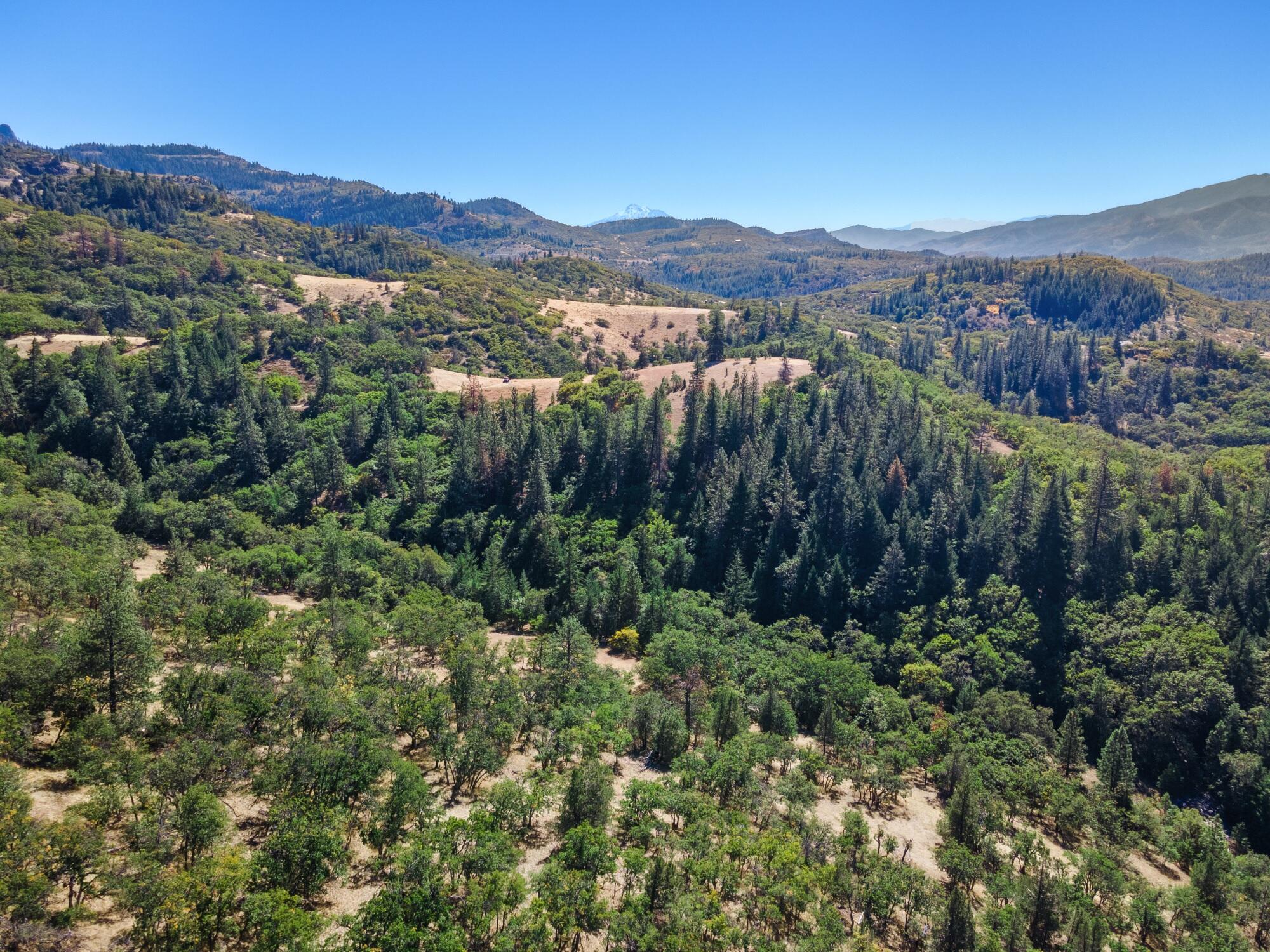 0 Colestin Road Ashland, OR 97520 - Photo 11 of 13 DJI_0920