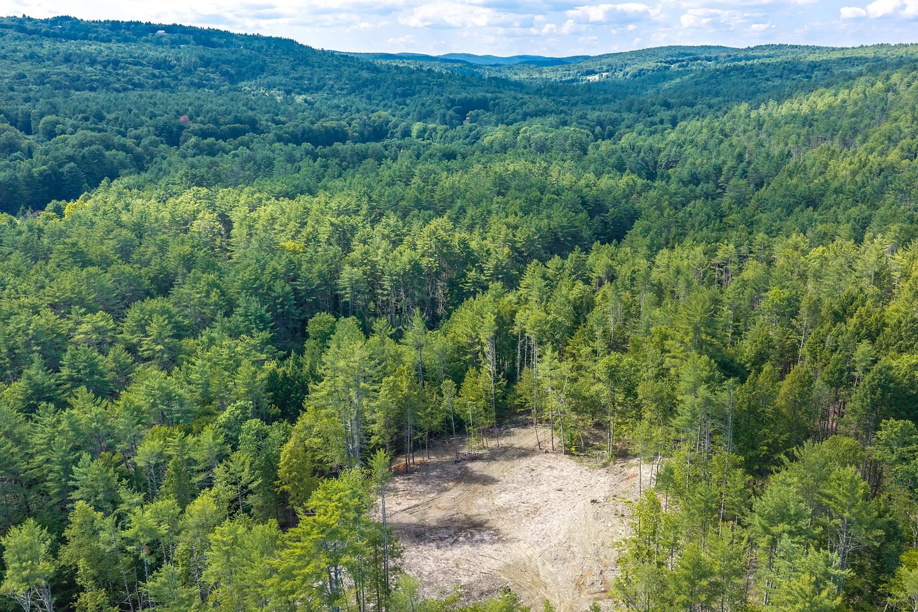 40 East Putney Brook Road Putney, VT 05346 - Photo 9 of 19