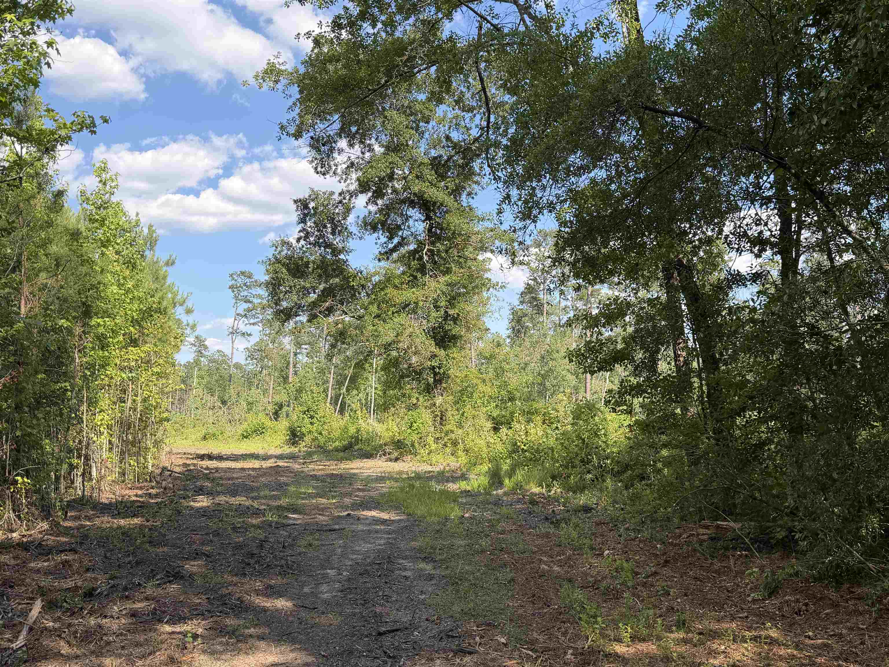8862 Ware Drive Nichols, SC 29581 - Photo 18 of 22