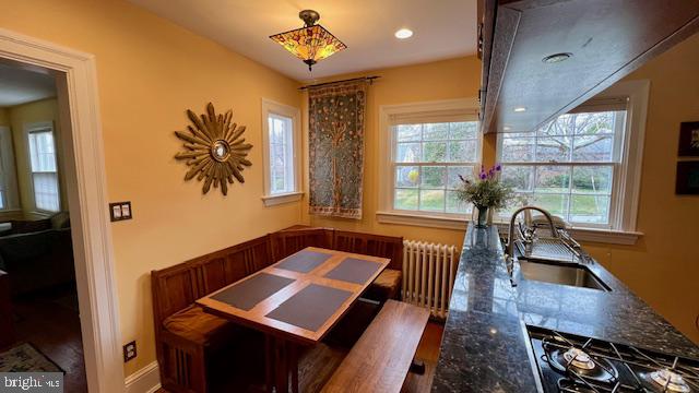 9102 Flower Avenue Silver Spring, MD 20901 - Photo 5 of 25 Charming kitchen nook with sunlight.