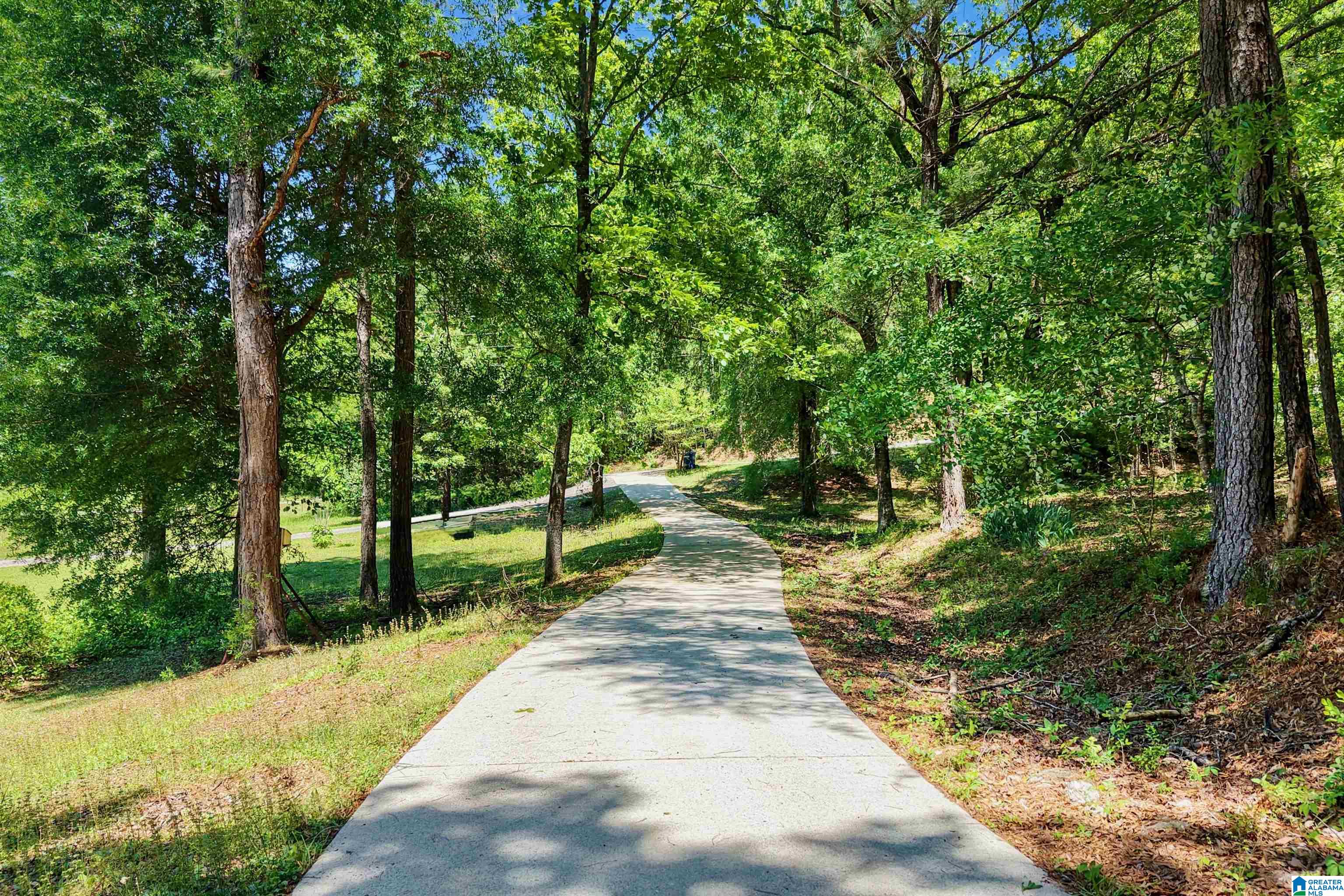 360 Cornelia Road Brierfield, AL 35035 - Photo 64 of 67