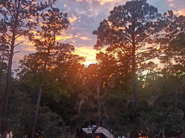 $939,000 | 2916 Caroline Rose Path, Johns Island, SC 29455