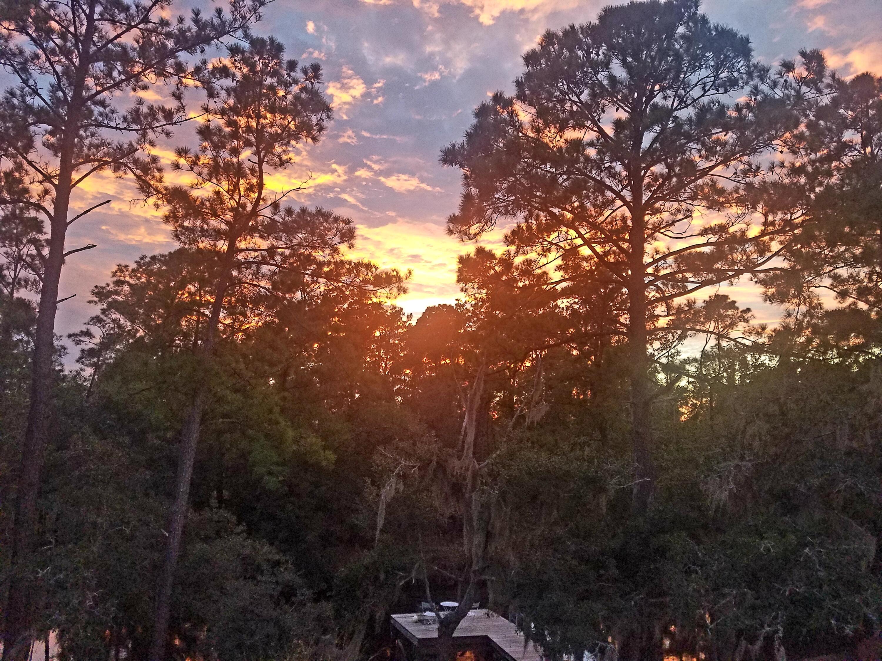 2916 Caroline Rose Path Johns Island, SC 29455 - Photo 56 of 59 20201005_190747