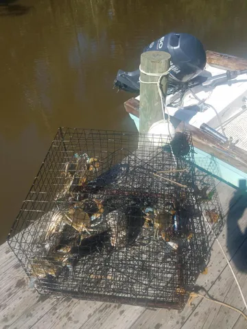 $939,000 | 2916 Caroline Rose Path, Johns Island, SC 29455