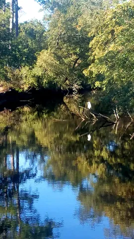 $939,000 | 2916 Caroline Rose Path, Johns Island, SC 29455