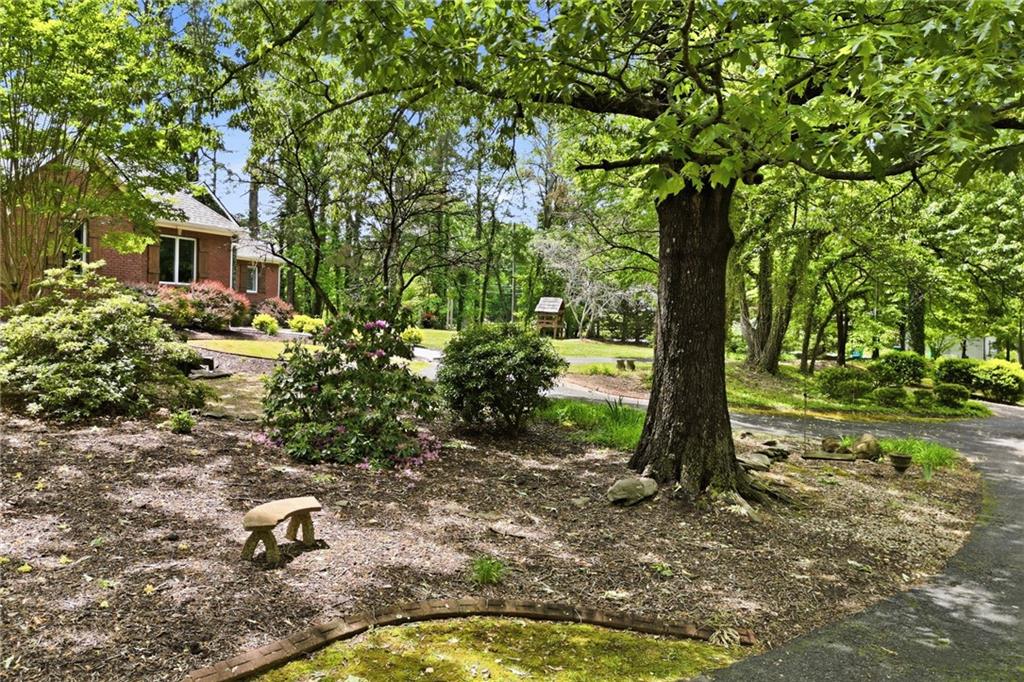 312 Sterling Road Jasper, GA 30143 - Photo 51 of 54