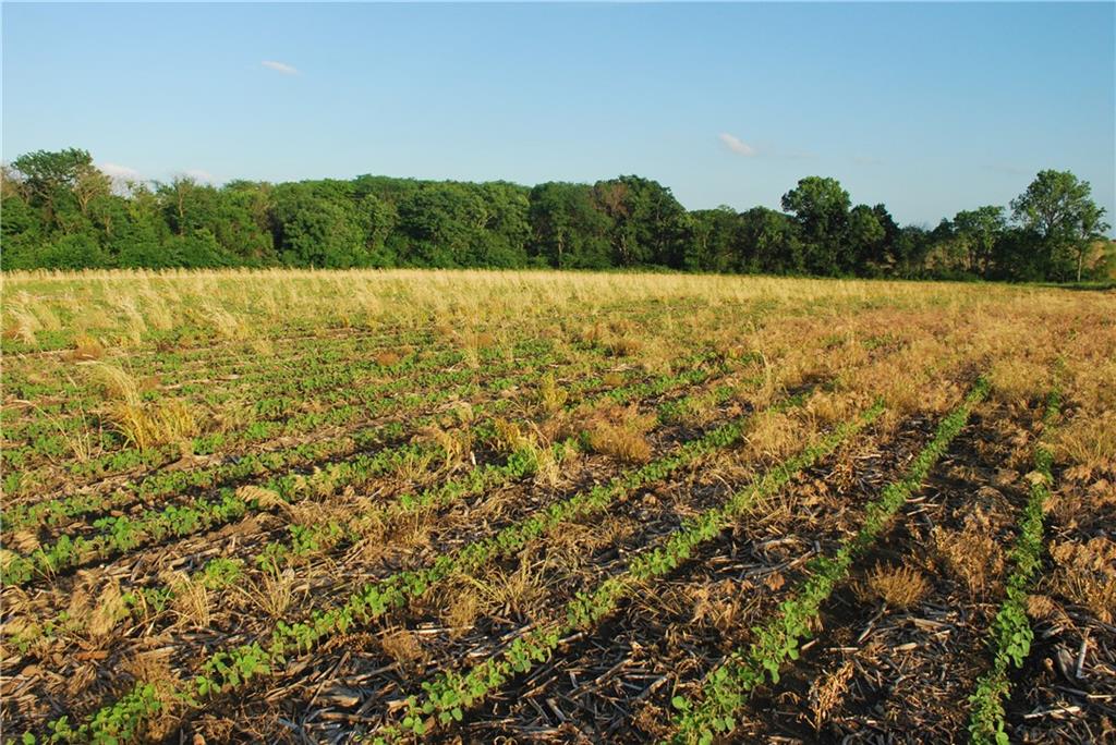 0 142nd Road Meriden, KS 66512 - Photo 22 of 22