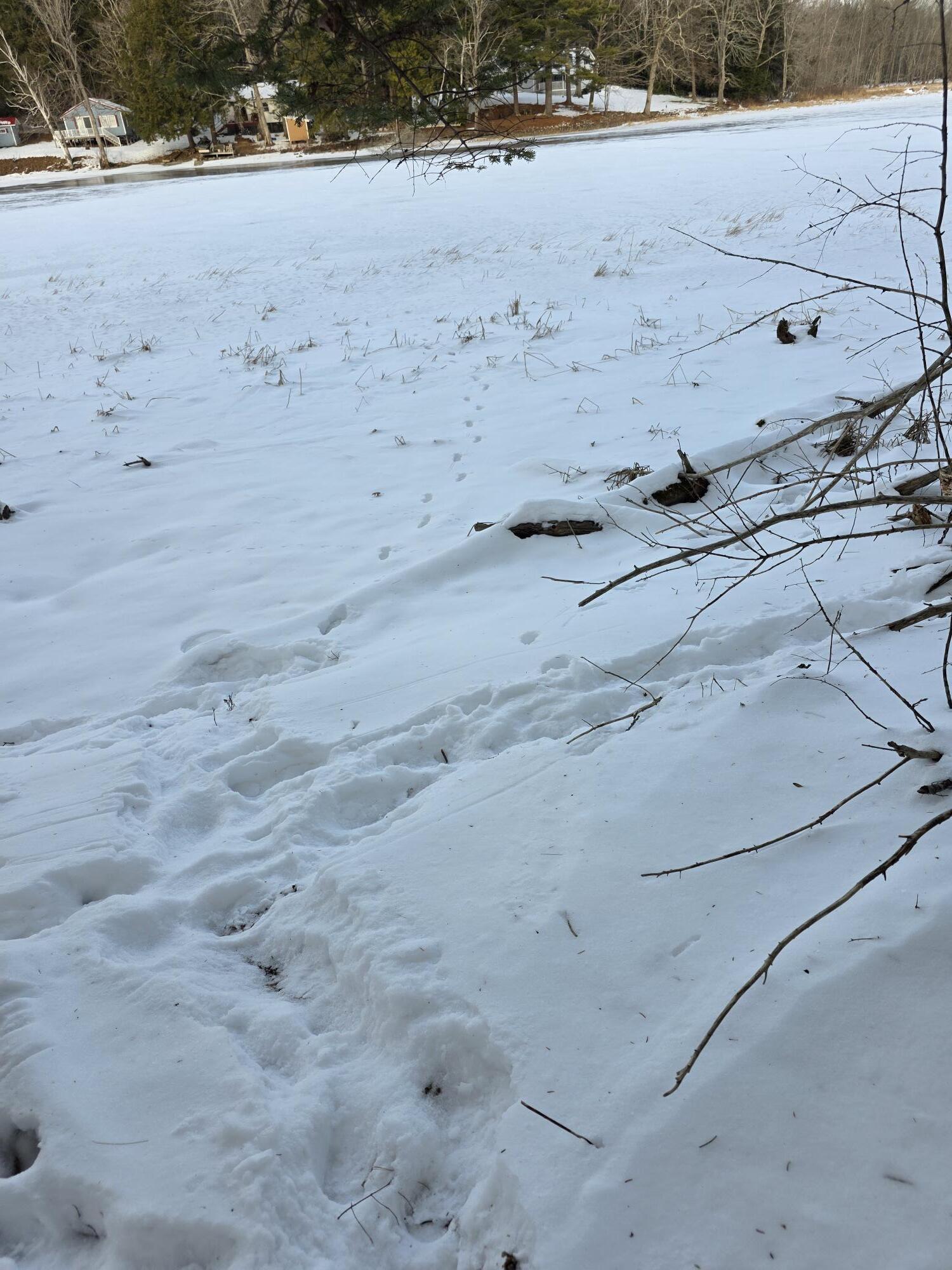 248 Lunts Hill Road Litchfield, ME 04350 - Photo 9 of 11 LITCHFIELD-9