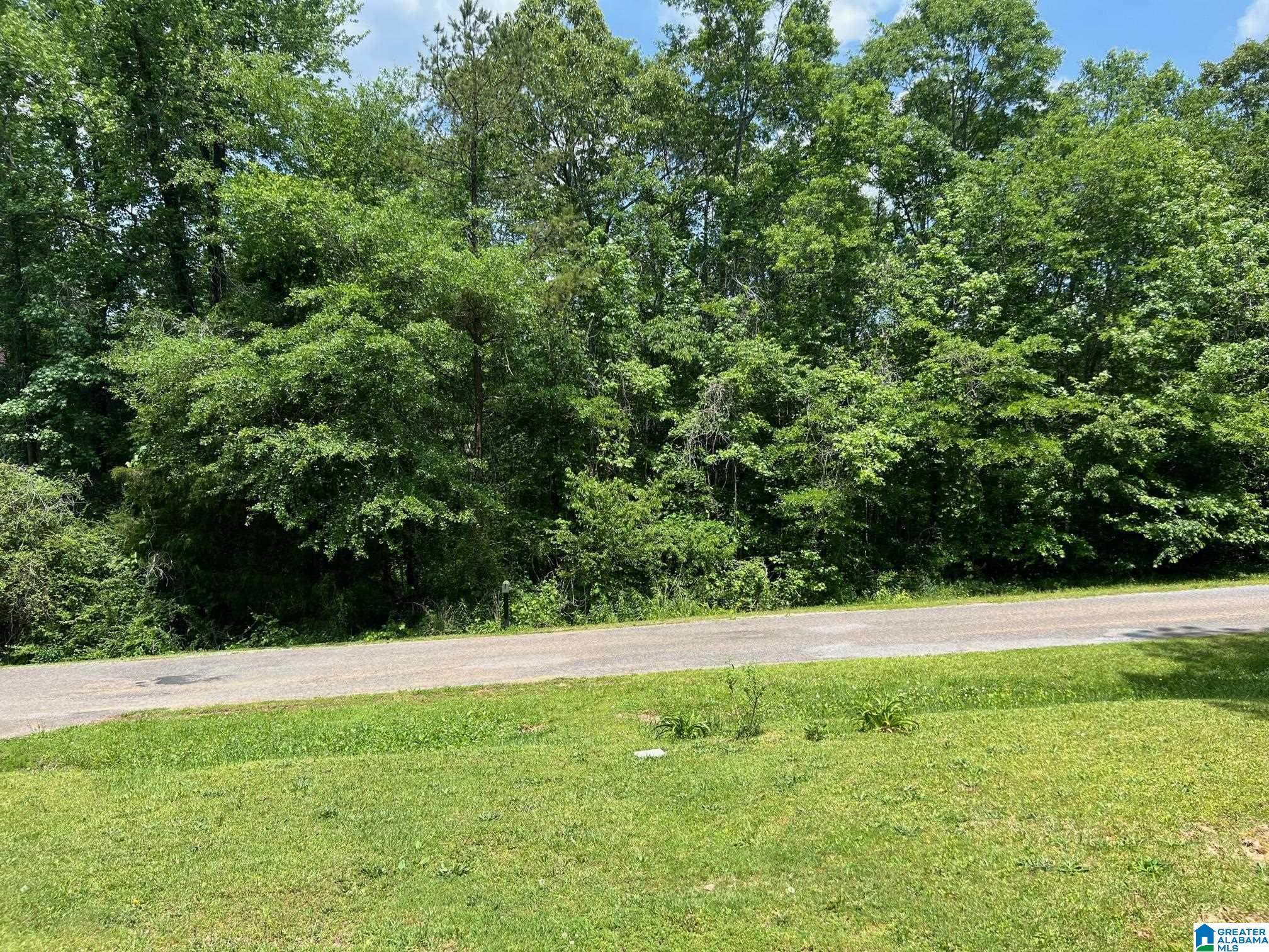 1100 McCollum Church Road Lineville, AL 36266 - Photo 7 of 17