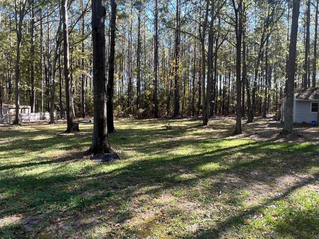 119 Plantation Road Clayton, NC 27520 - Photo 8 of 54 Photo 8