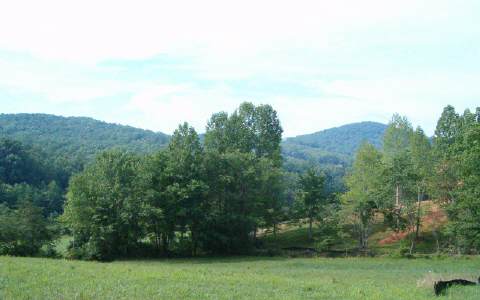 Lot 7 Cool Branch Road Morganton, GA 30560 - Photo 1 of 1 Main View