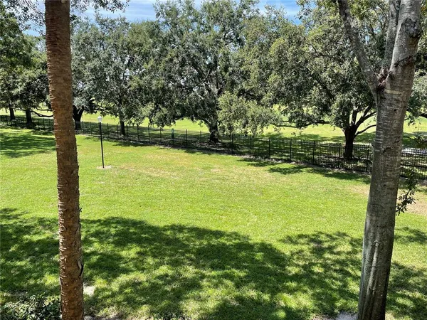 a view of an ocean from a yard