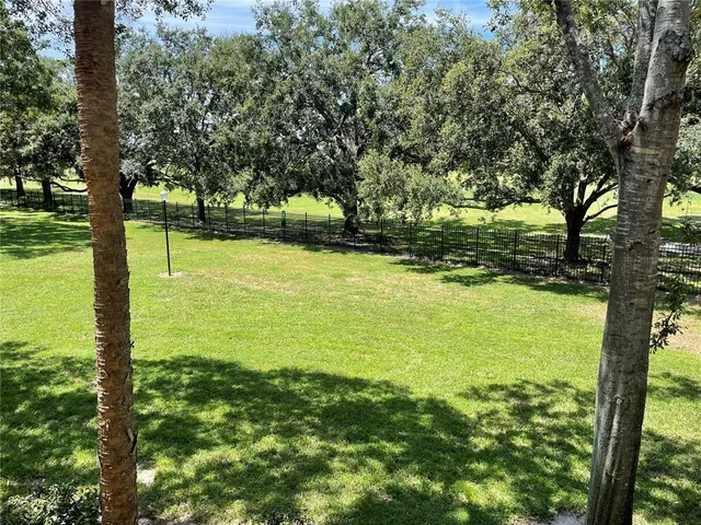 a view of an ocean from a yard