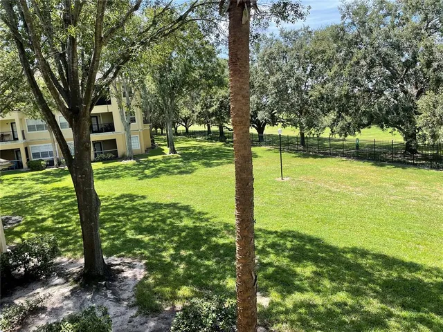 a view of a yard with plants