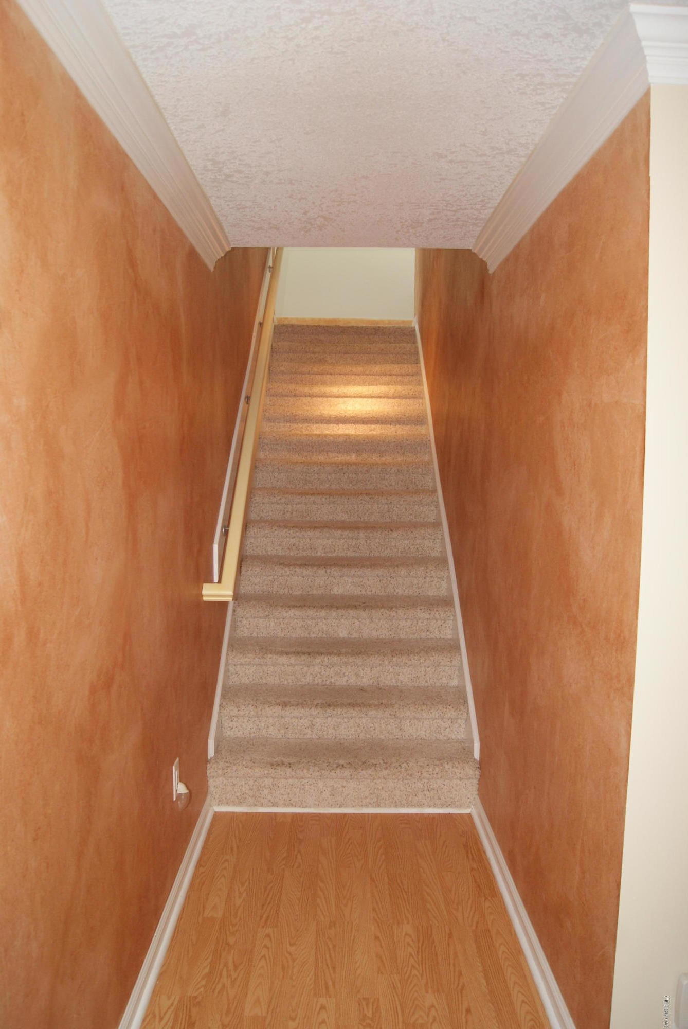 530 Spring Garden Road New Bern, NC 28562 - Photo 44 of 64 Stairs to Bonus/FROG